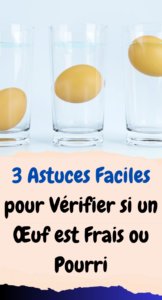 3 Astuces Faciles pour Vérifier si un Œuf est Frais ou Pourri