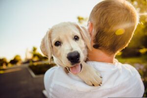 Pourquoi Avoir un Chien Est Bénéfique pour Votre Santé