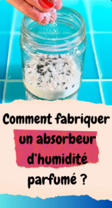 Déodorants faits maison 9 recettes naturelles adaptées à chaque type de peau