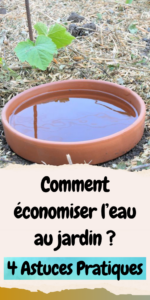 Comment économiser l’eau au jardin