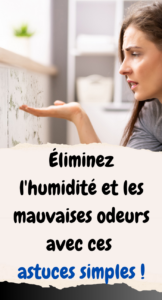Éliminez l'humidité et les mauvaises odeurs