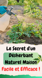 Désherbant Naturel