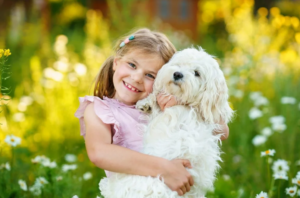 chiens les plus gentils avec vos enfants