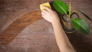 4 plantes d'intérieur pour éliminer la poussière et nettoyer l'air