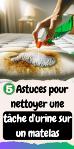 Si vous avez des enfants ou bien des animaux domestiques à la maison, vous avez fait face au problème des traces d’urine sur les matelas.