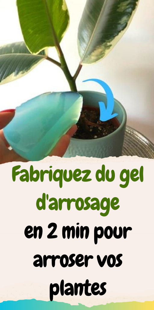 Fabriquez du gel d'arrosage en 2 min pour arroser vos plantes.