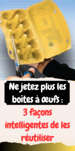 Ne jetez plus les boîtes à œufs
