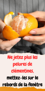 Ne jetez plus les pelures de clémentines