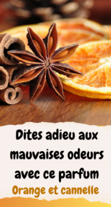 parfum à l'orange et à la cannelle
