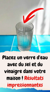 purifier votre maison