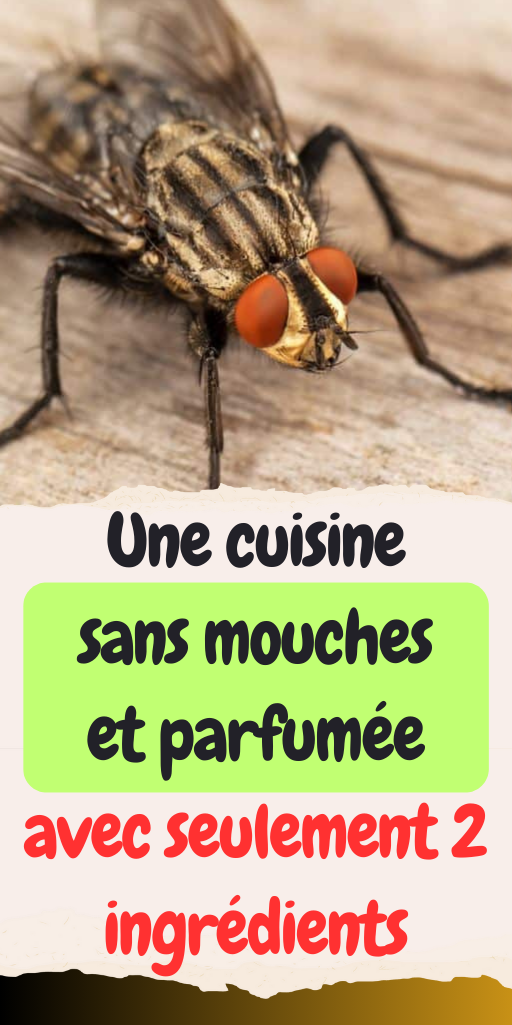 Une cuisine sans mouches et parfumée avec seulement 2 ingrédients