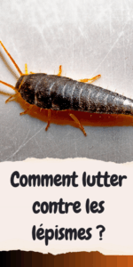 lutter contre lépisme