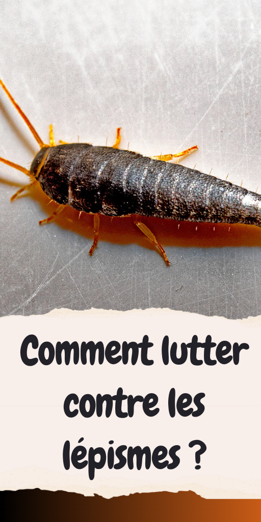 lutter contre lépisme