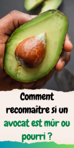 comment reconnaître si un avocat est mûr ou pourri.