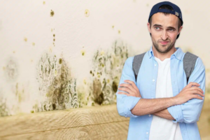 Isolant pour un mur humide