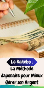 Le Kakebo