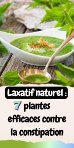 7 plantes efficaces contre la constipation
