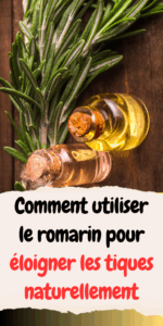 Comment utiliser le romarin pour éloigner les tiques naturellement