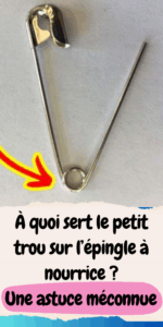 trou de l'épingle à nourrice