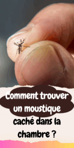 Comment trouver un moustique caché dans la chambre ?