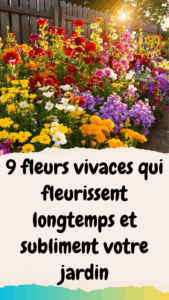 9 fleurs vivaces qui fleurissent longtemps et subliment votre jardin