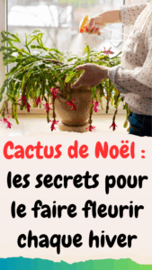 : les secrets pour le faire