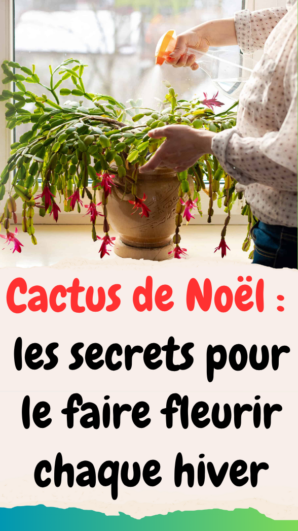 : les secrets pour le faire