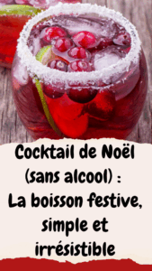 Cocktail de Noël (sans alcool)