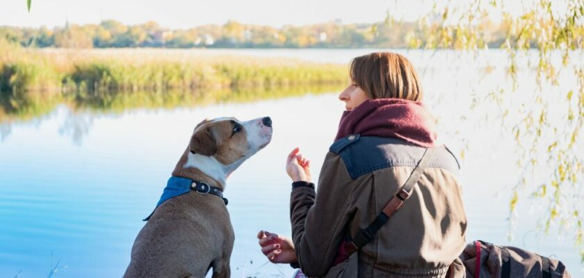 Le guide essentiel pour comprendre son chien