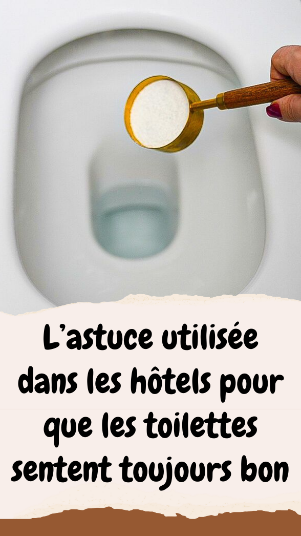 L’astuce utilisée dans les hôtels pour que les toilettes sentent toujours bon