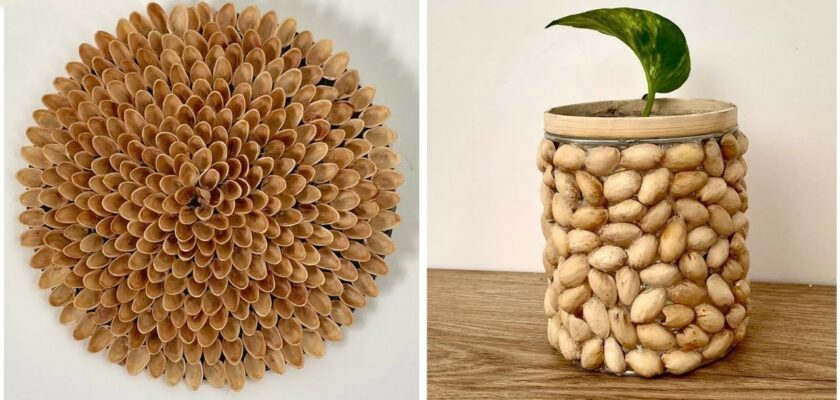Recycler les coquilles de pistaches pour créer un pot de fleurs décoratif simple économique et zéro déchet avec une idée DIY facile à réaliser à la maison