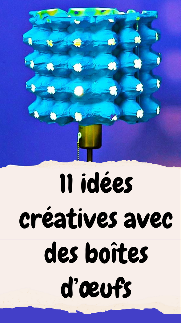 11 idées créatives avec des boîtes d’œufs
