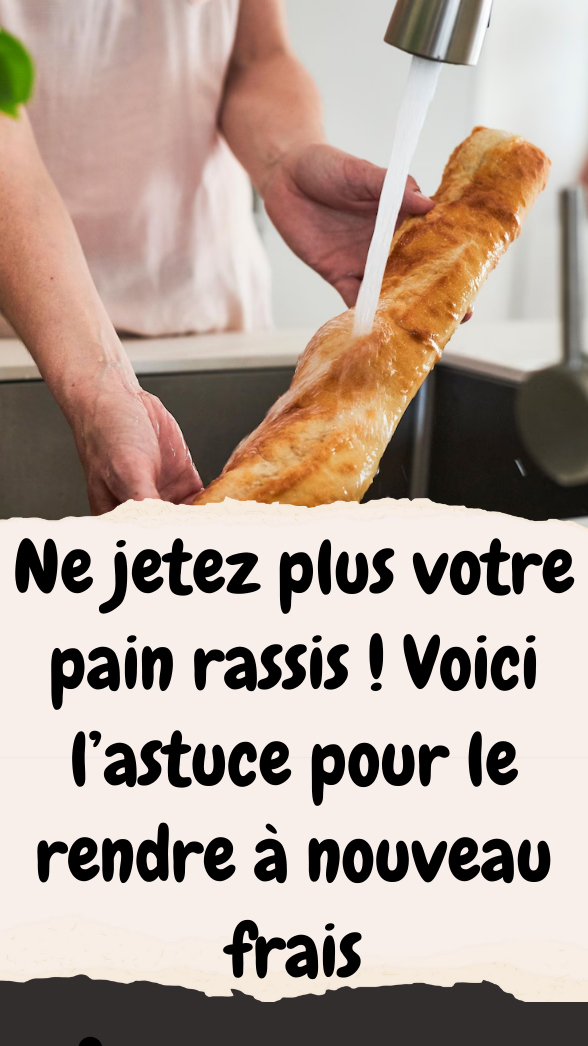 Comment rendre frais le pain rassis