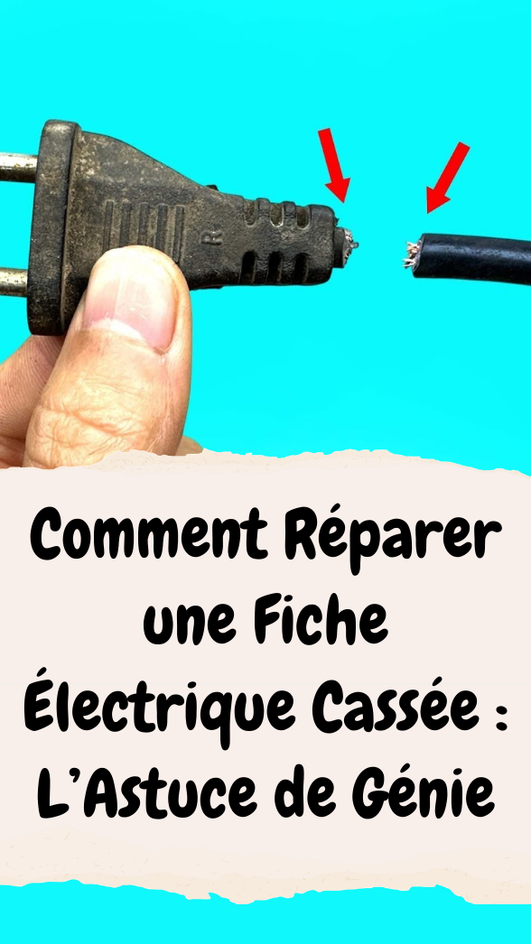 Réparer une Fiche Électrique