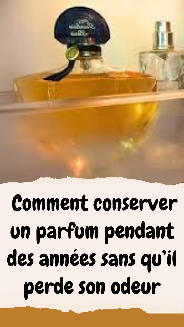 parfum réfrigérateur