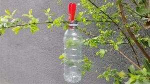 POURQUOI UN FAUT Accrochez la bouteille à l’arbre