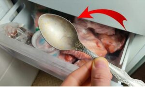 Pourquoi il faut toujours avoir une cuillère au congélateur