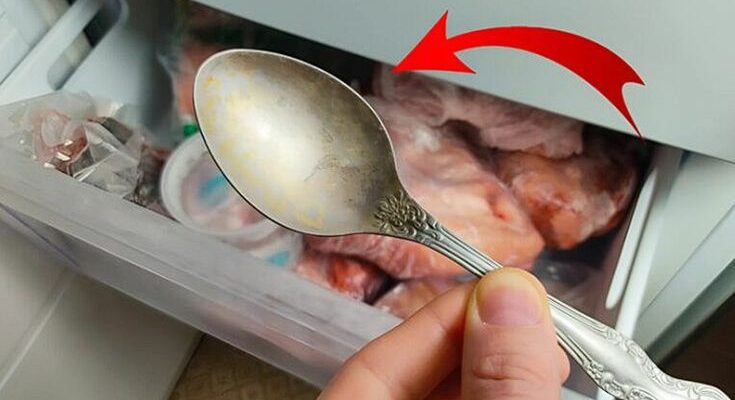 Pourquoi il faut toujours avoir une cuillère au congélateur