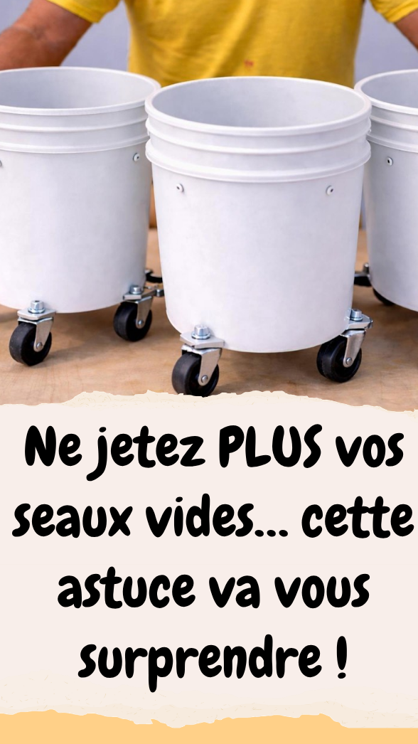 Transformez-les en un Outil de Rangement Ingénieux