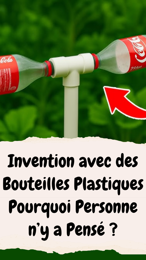 Invention avec des Bouteilles Plastiques