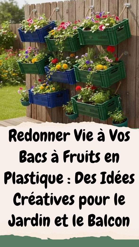Redonner Vie à Vos Bacs à Fruits en Plastique