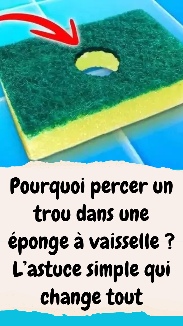 trou éponge vaisselle