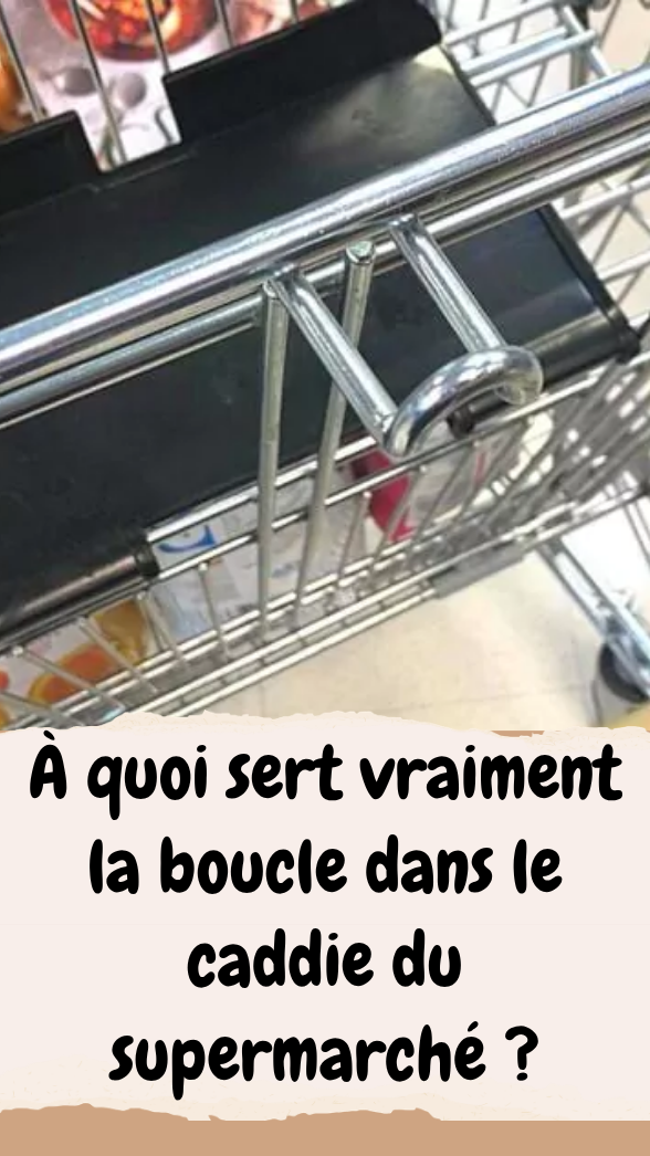 À quoi sert vraiment la boucle dans le caddie du supermarché ?