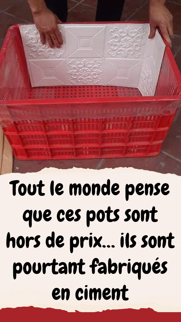 Pots en ciment au style brut et minéral