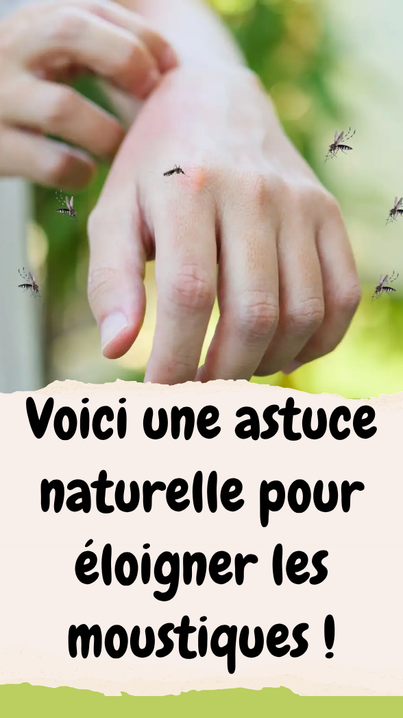 une astuce naturelle pour éloigner les moustiques