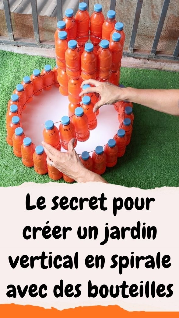 Jardin vertical