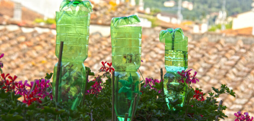 Arrosage goutte-à-goutte avec une bouteille