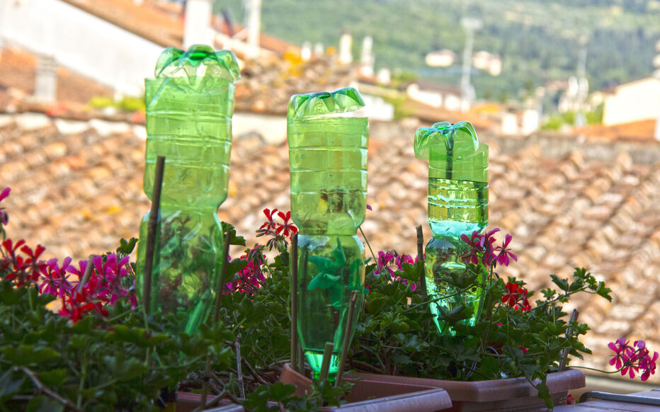 Arrosage goutte-à-goutte avec une bouteille