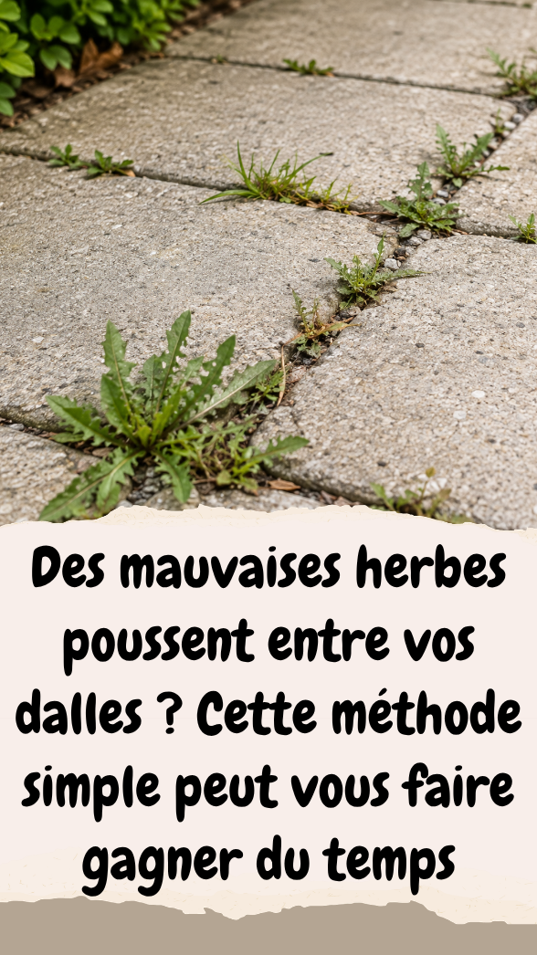 Des mauvaises herbes poussent entre vos dalles Cette méthode simple peut vous faire gagner du temps