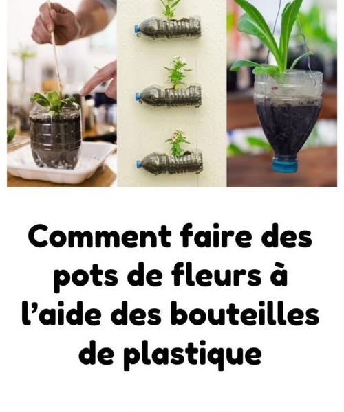 Transformer des bouteilles en pots suspendus pour plantes